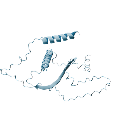 Human CD99 (C-6His, HEK293)